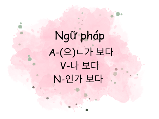 Ngữ pháp A -(으)ㄴ가 보다, V -나 보다, N인가 보다